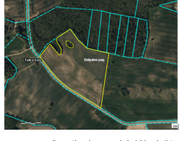 Grafiskais pielikums