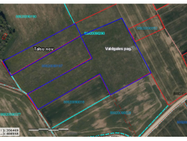 Karte nomas izsolei lauksaimniecības zeme Sakņu dārzs Nr. 24 Valdgales pagastā 