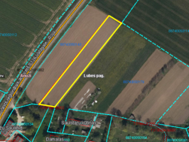 Nekustamā īpašuma „Boziņi” Laidzes pagastā zemes vienības nomas izsole