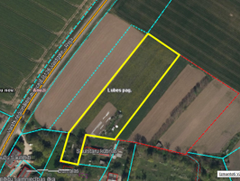 Nekustamā īpašuma „Centrs” Lubes pagastā zemes vienības nomas izsole