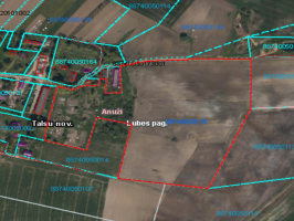 Nekustamā īpašuma „Centrs” zeme Anužos, Lubes pagastā 0,9 ha platībā