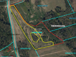 Nekustamā īpašuma „Dvāliktes 1” Vandzenes pagastā zemes vienības nomas izsole 