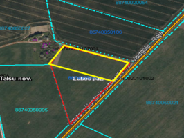 Nekustamā īpašuma „Kārkli” Lubes pagastā zemes vienības nomas izsole (1,0 ha) 