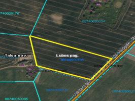 Nekustamā īpašuma „Kārkli” Lubes pagastā zemes vienības nomas izsole (3,5 ha)