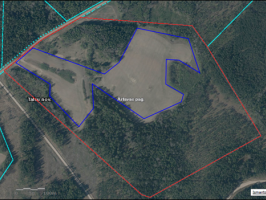 Nekustamā īpašuma „Mazmūrnieki” Ārlavas pagastā lauksaimniecības zemes vienības nomas izsole (10,8 ha)