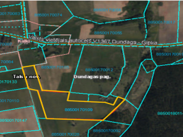 Nekustamā īpašuma „Salmenes” Dundagas pagastā zemes vienības nomas izsole