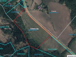 Nekustamā īpašuma „Vīguri”, Ģibuļu pagastā zemes vienības nomas izsole (4,95 ha)