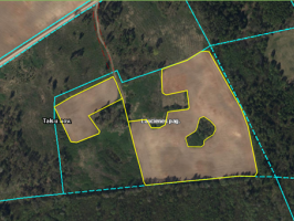 Nekustamā īpašuma „Vizbuļi” Laucienes pagastā zemes vienības nomas izsole (2,6 ha)