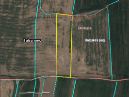 Nekustamā īpašuma Balgales pagastā zemes vienības nomas izsole (0,3 ha)