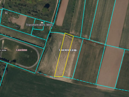 Nekustamā īpašuma Laucienes pagastā zemes vienības nomas izsole (0,2 ha) 