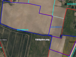 Karte izsolē Valdgale sakņu dārzs 11