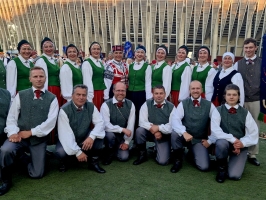 TDK "Virpulis"