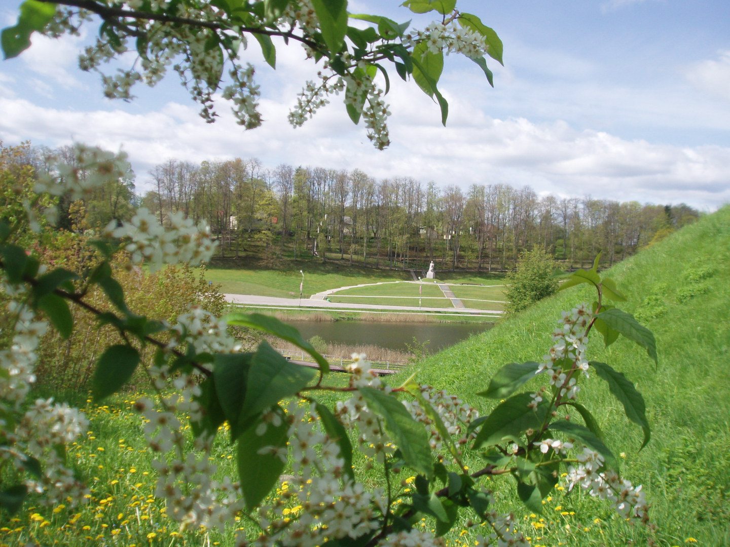 Dace Cine „Koklētājs pavasarī”