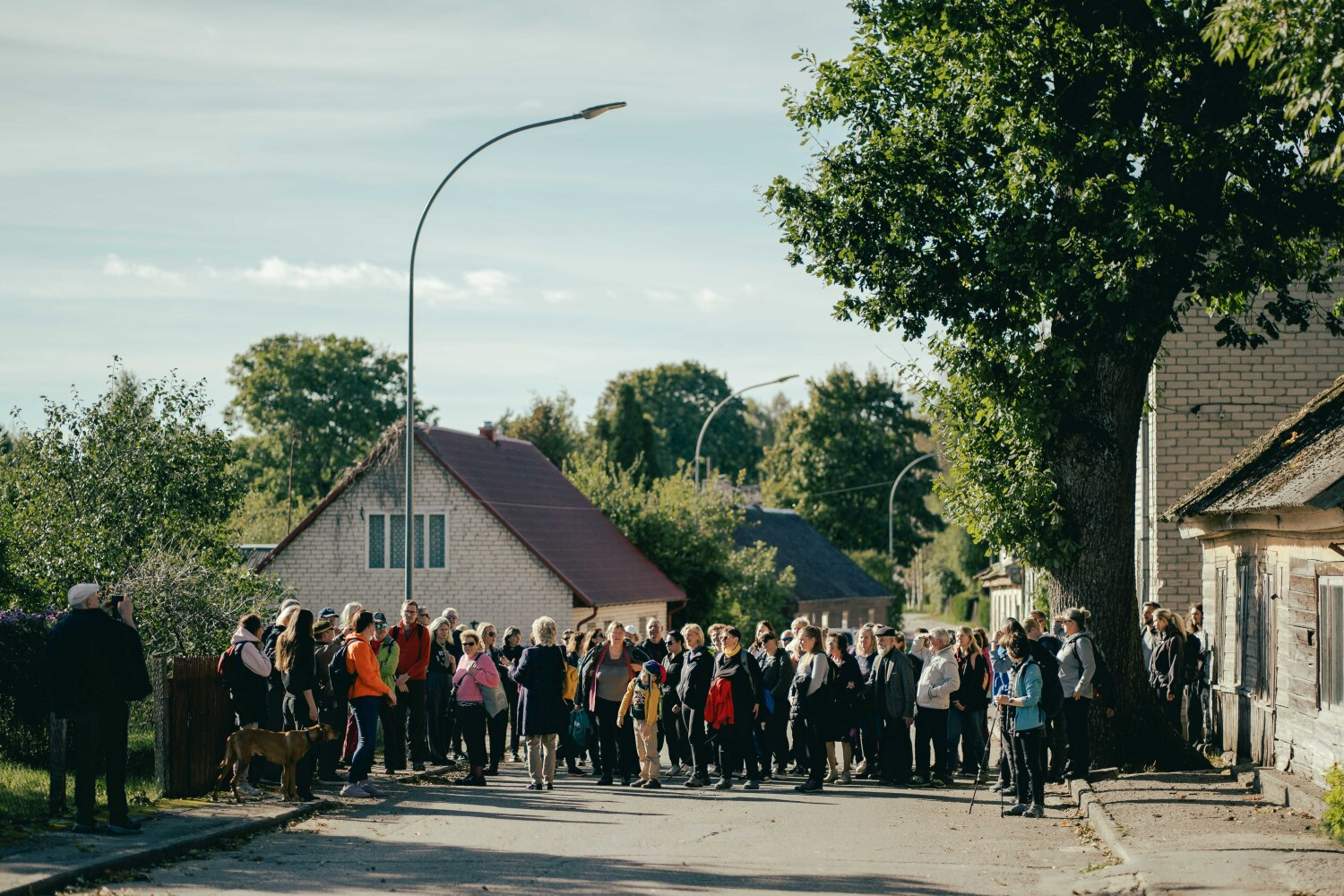 Krišjāņa Valdemāra 200. dzimšanas dienas pārgājiens un „Ziedoņa muzeja” desmitgade 