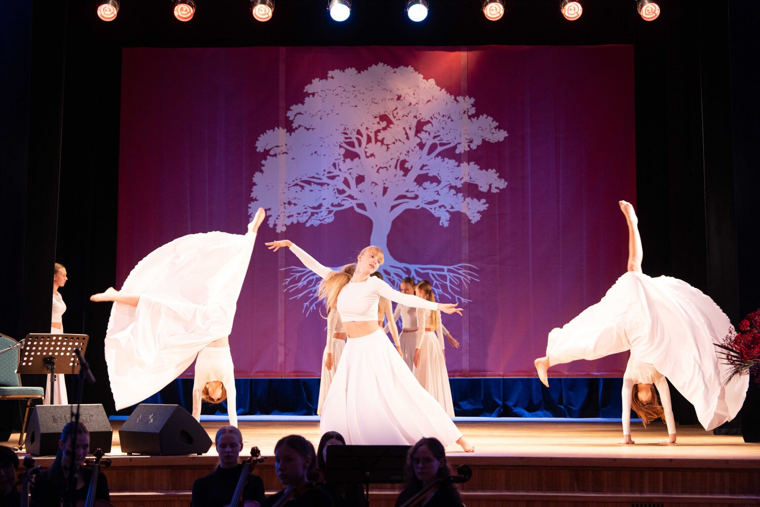 Talsu novada augstāko apbalvojumu pasniegšana 2025