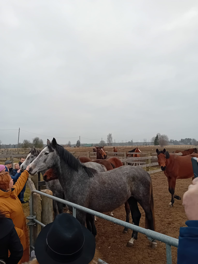 Talsu novada tūrisma nozares uzņēmēji pieredzes apmaiņas brauciens
