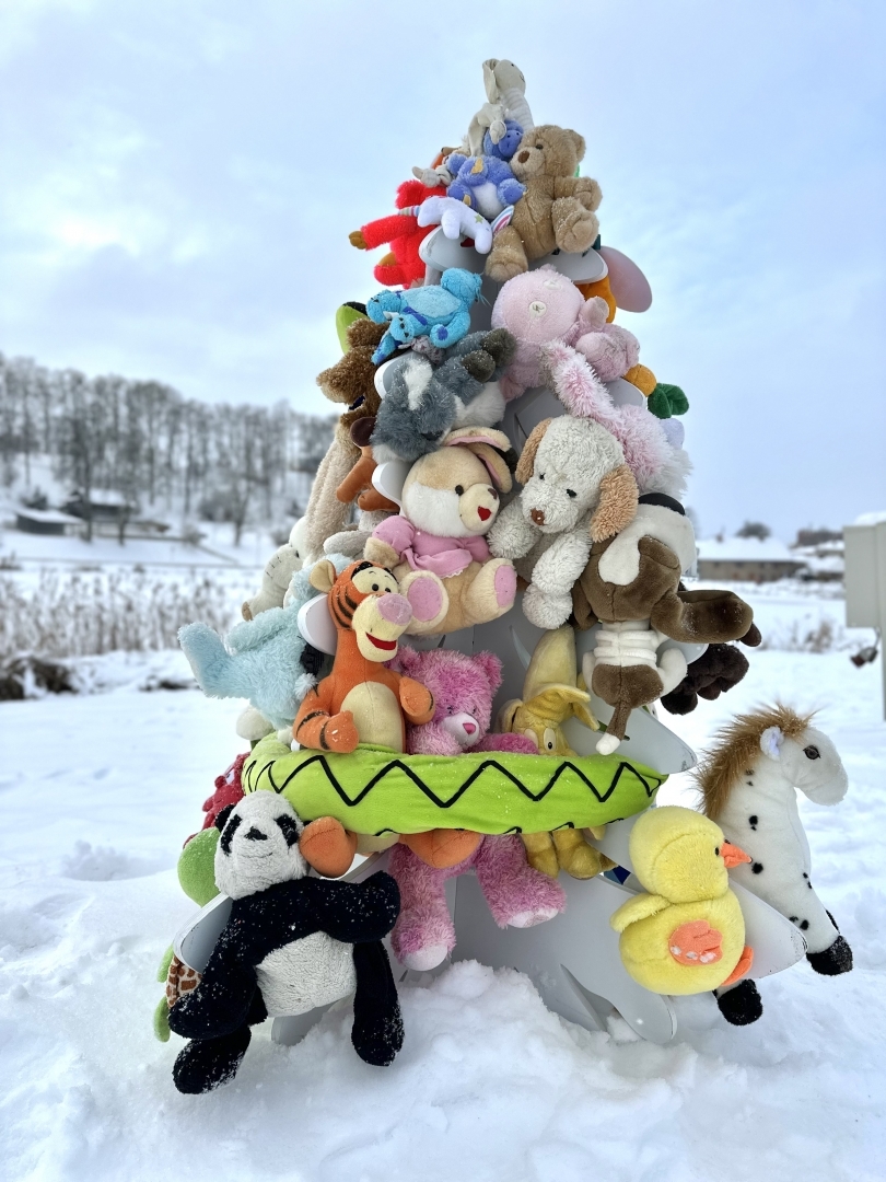 Ziemassvētku eglīšu parks Talsu ezera promenādē