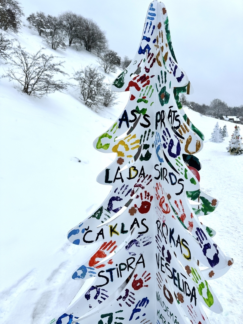 Ziemassvētku eglīšu parks Talsu ezera promenādē