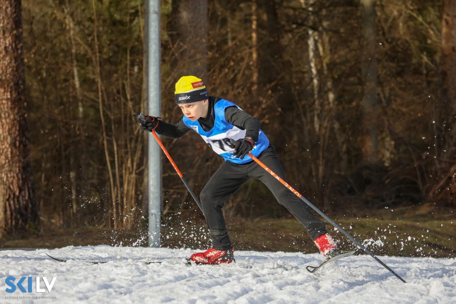 Latvijas čempionāts distanču slēpošanā