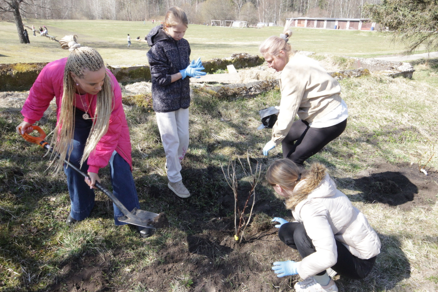 Foto ar skolēniem, kas stāda kokus