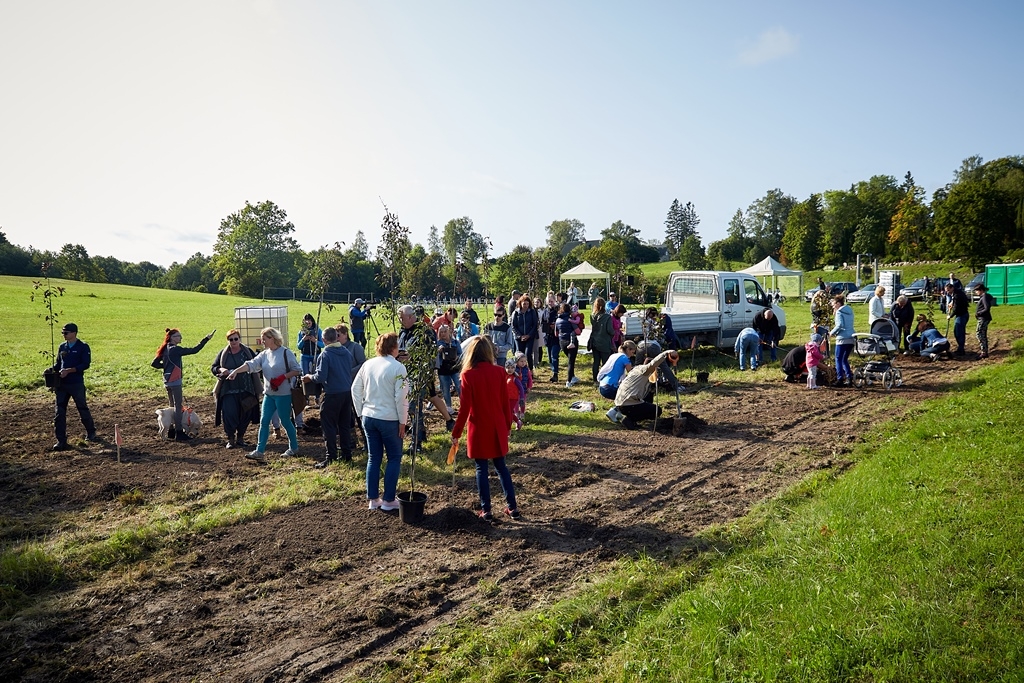 Talka Saules ielā rit pilnā sparā (23)