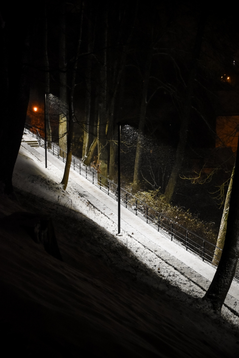 Ķēniņkalns (32)