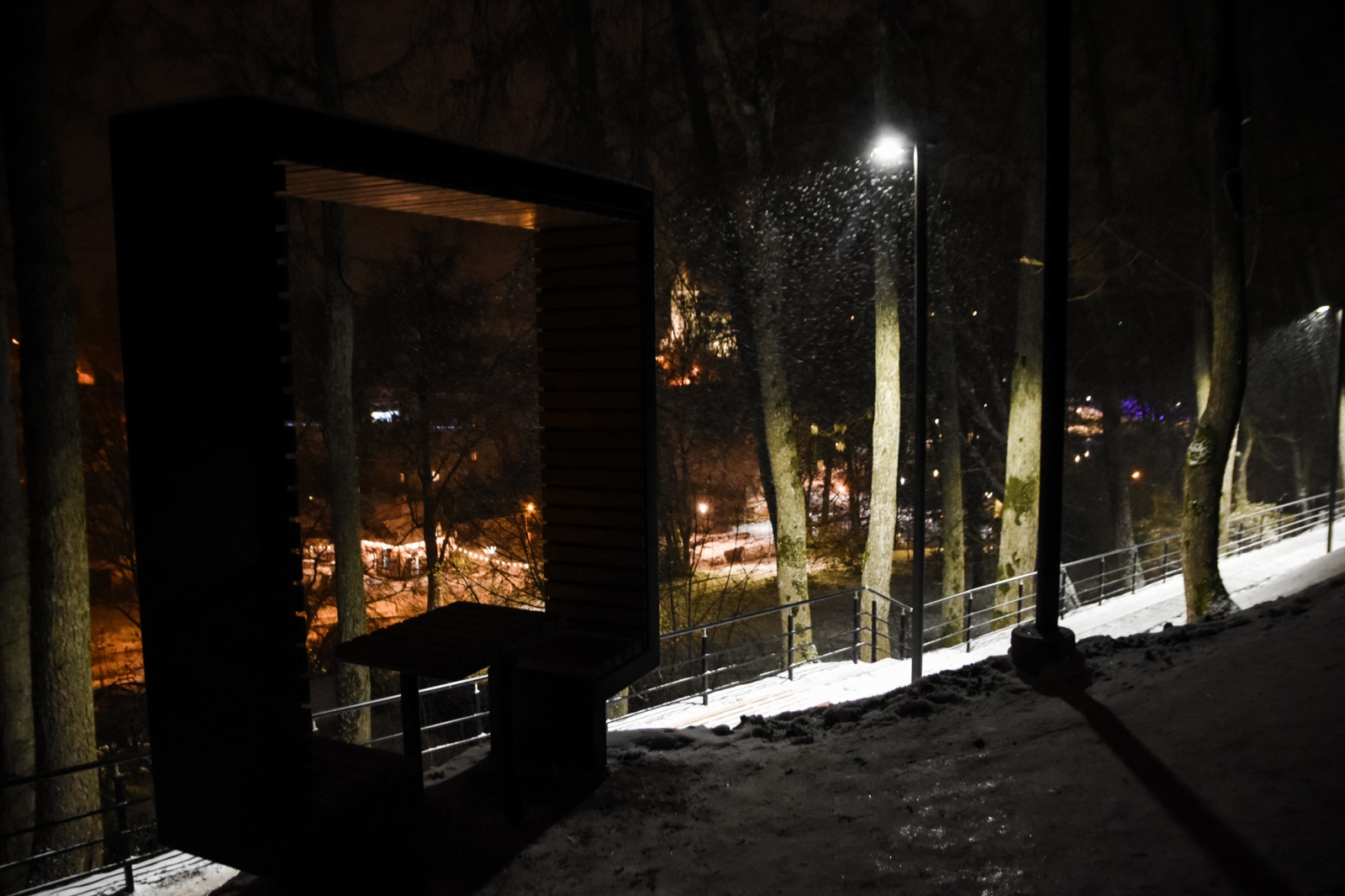 Ķēniņkalns (34)