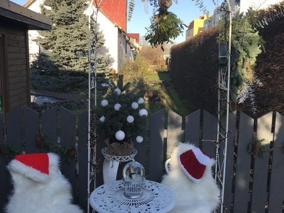 Kreimenīte Ziemassvētku dekorācija (3)
