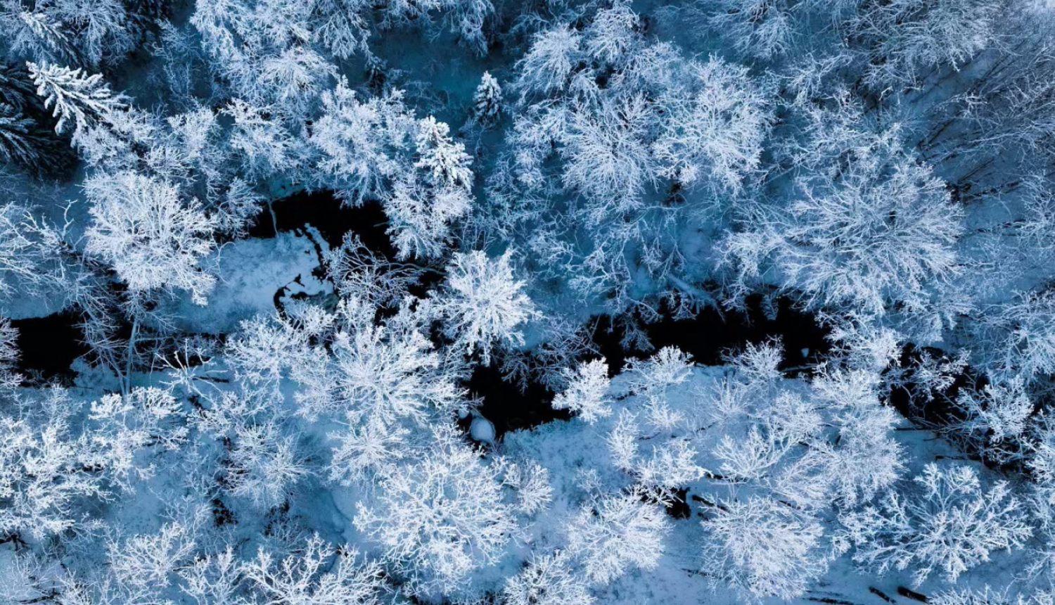 Abavas senleja. Foto: Artūrs Mengots