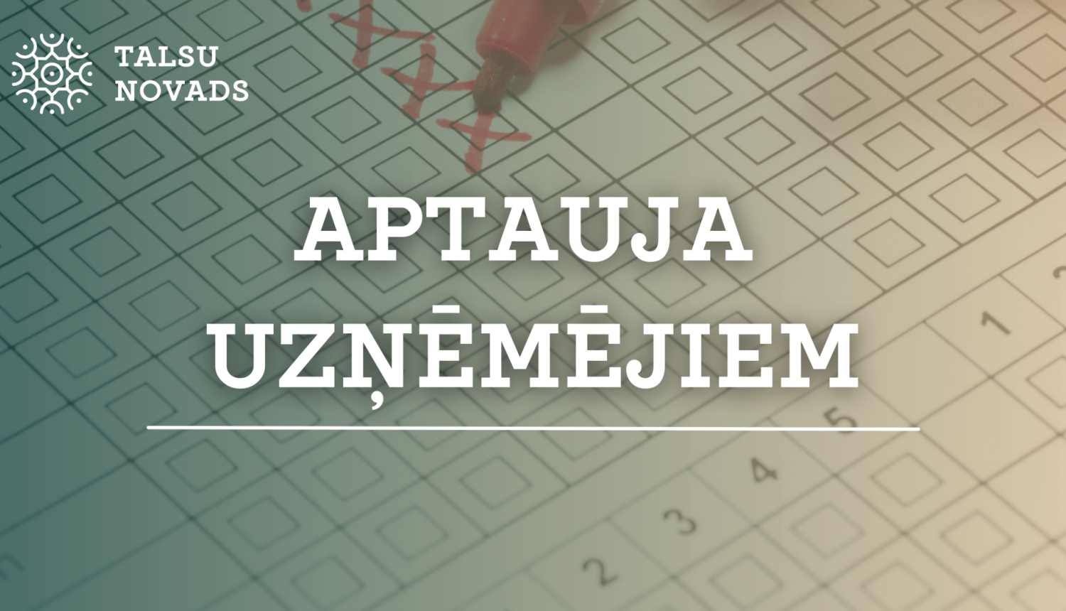 Aptauja uzņēmējiem