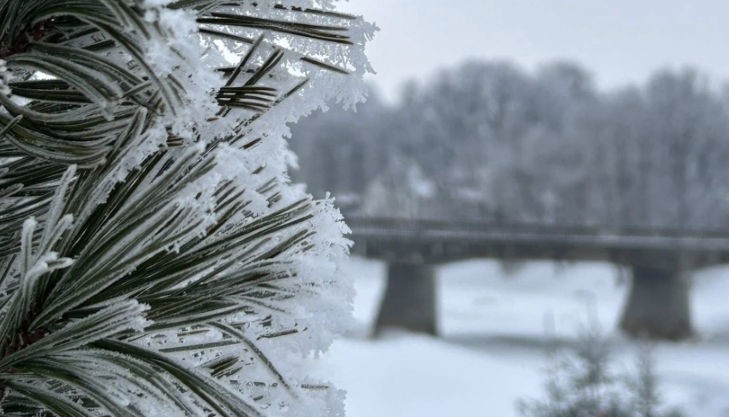 Brīdinājums par stipru salu: tuvākajās naktīs gaiss atdzisīs līdz -29 grādiem