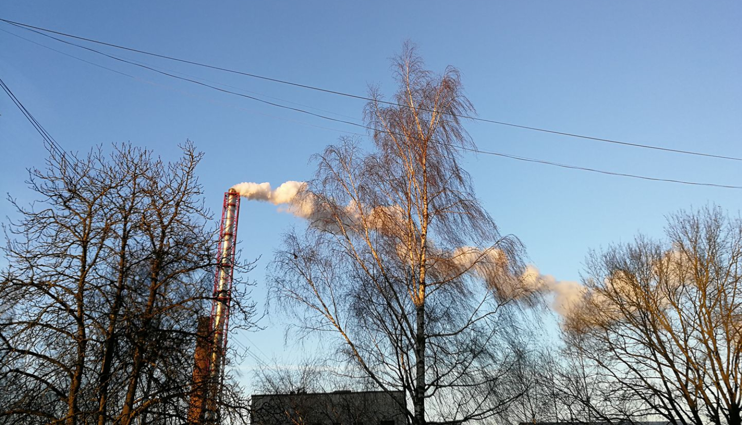 SIA „Talsu BIO-Enerģija” katlu māja