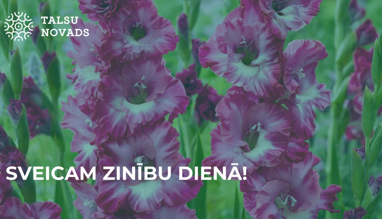 Sveicam zinību dienā!