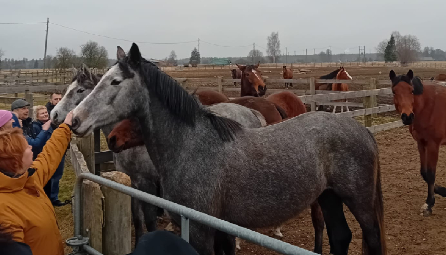 Talsu novada tūrisma nozares uzņēmēji pieredzes apmaiņas brauciens