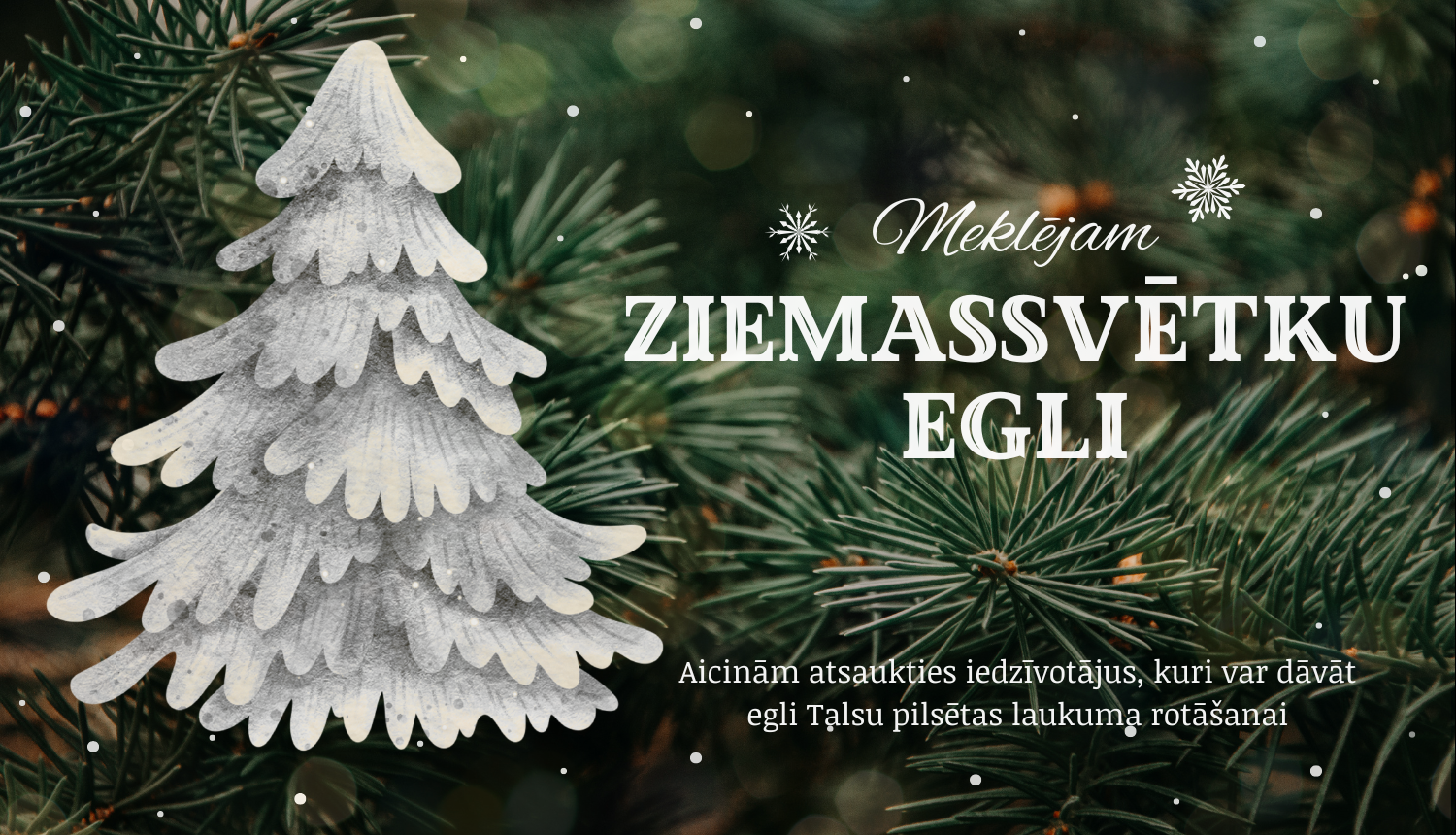 Iedzīvotāj, dāvini Talsiem Ziemassvētku egli!