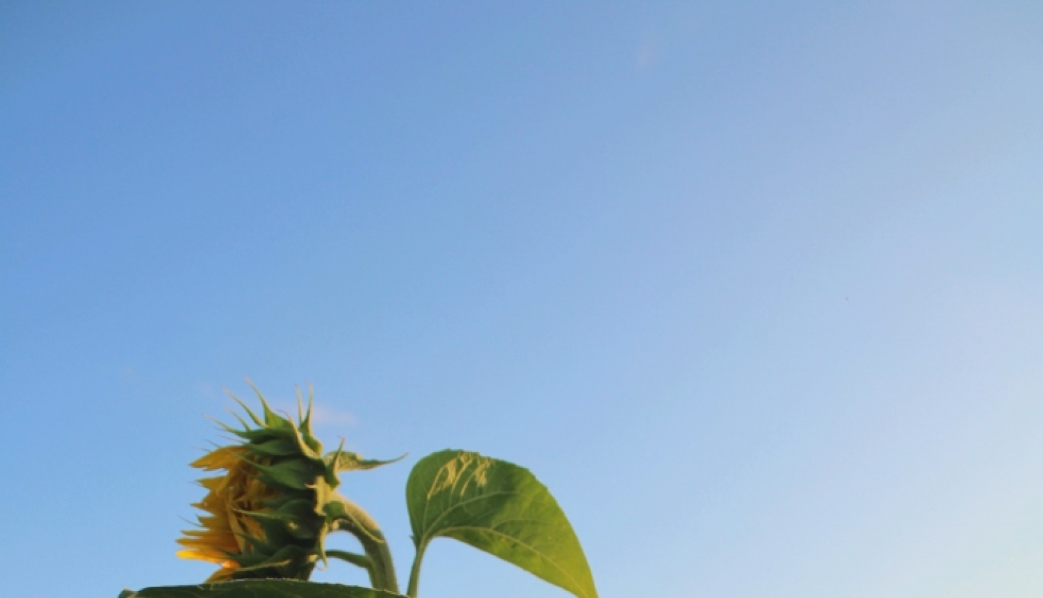 Atbalsts Kijivas bērnu slimnīcai Ukrainā