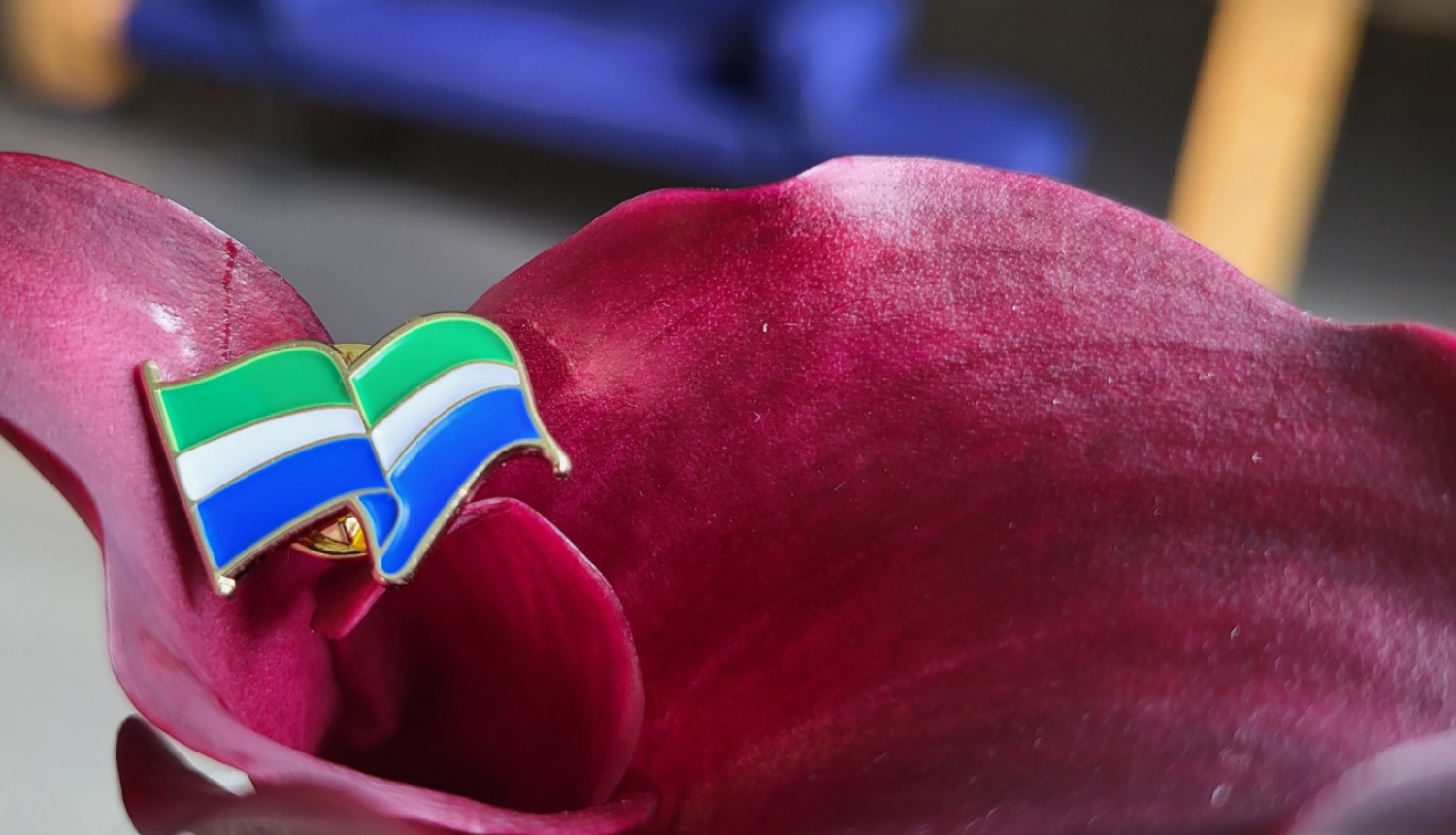 Pieejamas metāla nozīmītes ar Lībiešu krasta simboliku