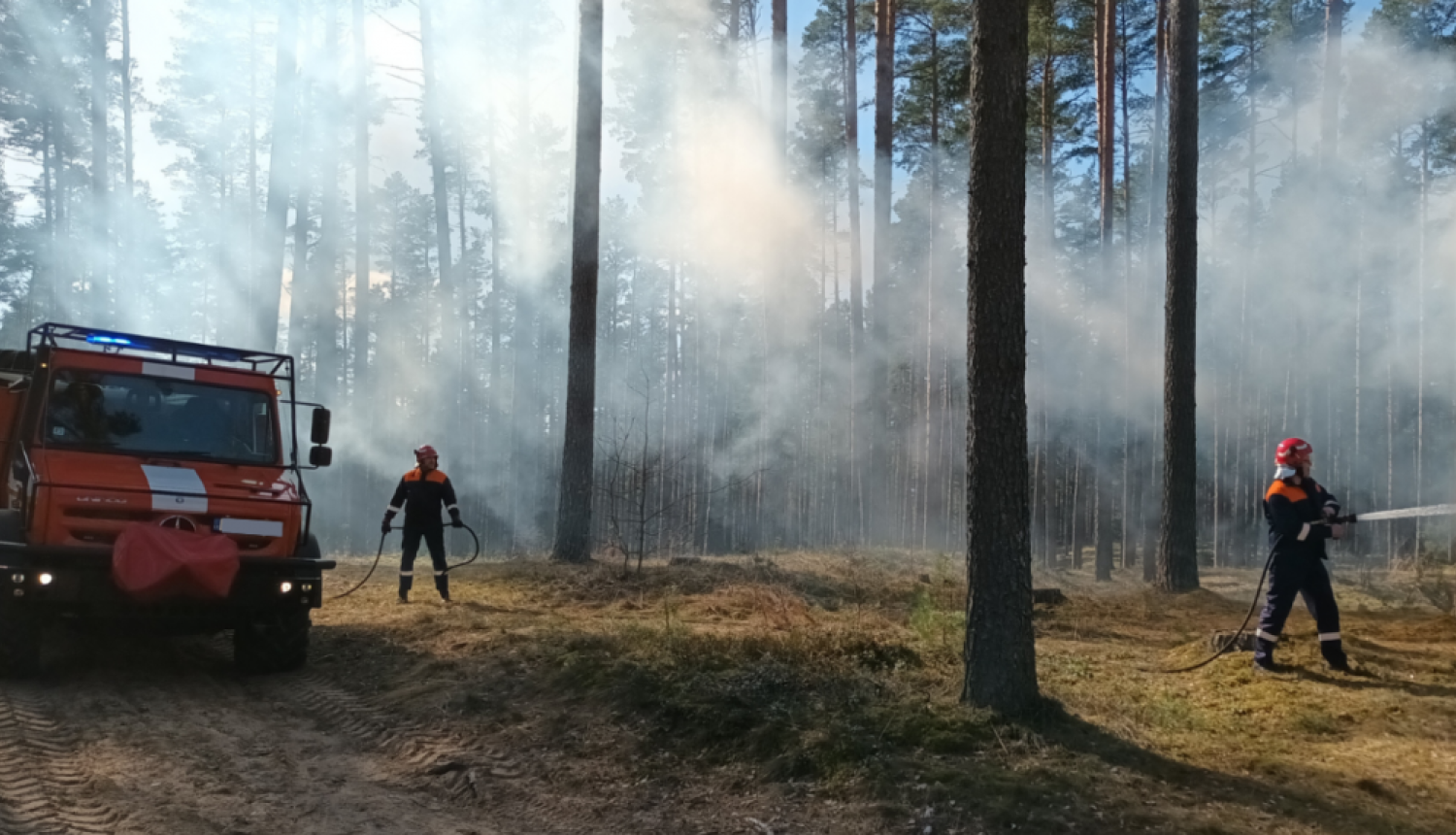 Attēlā redzami ugunsdzēsēji mežainā teritorijā, dzēšot ugunsgrēku vai veicot ugunsdrošības darbus. Kreisajā pusē redzama ugunsdzēsēju automašīna ar ieslēgtām bākugunīm, bet fonā starp kokiem izplatās dūmi. Divi ugunsdzēsēji aizsargtērpos strādā ar šļūtenēm.