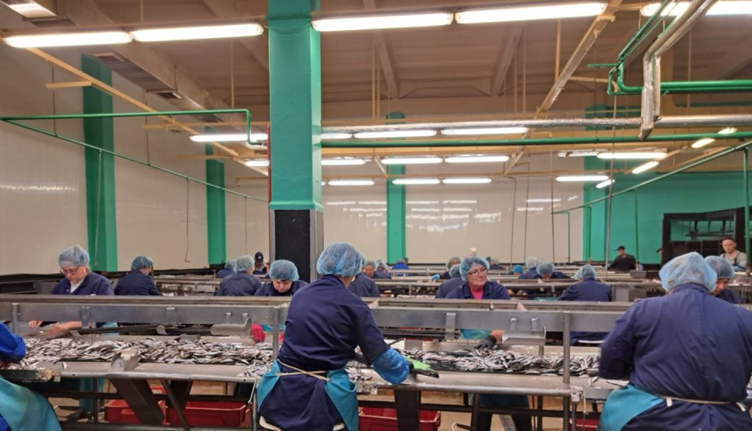 Delegācija apmeklē Talsu novada saimniecības