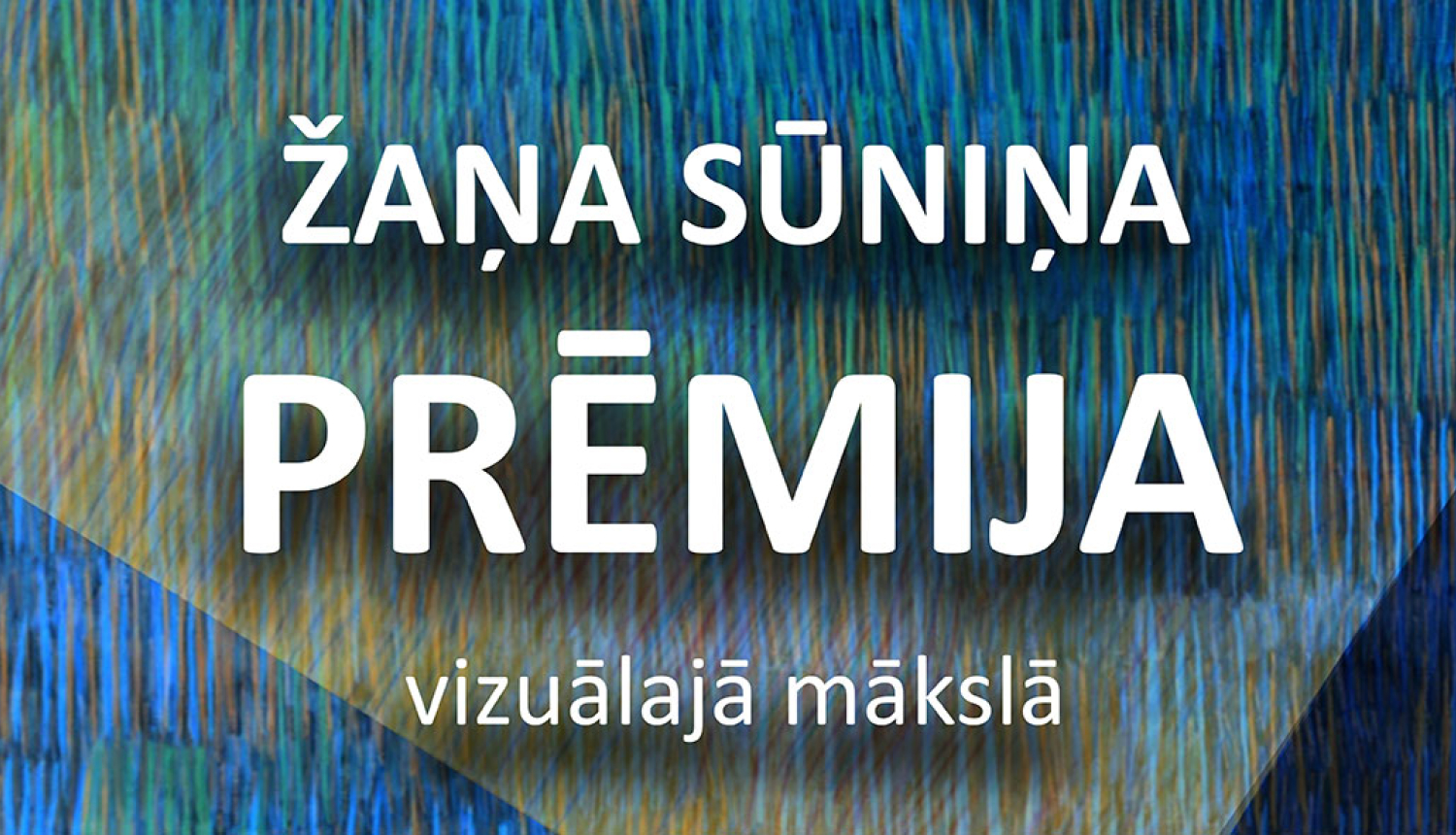 Žaņa Sūniņa prēmija vizuālajā mākslā 2024