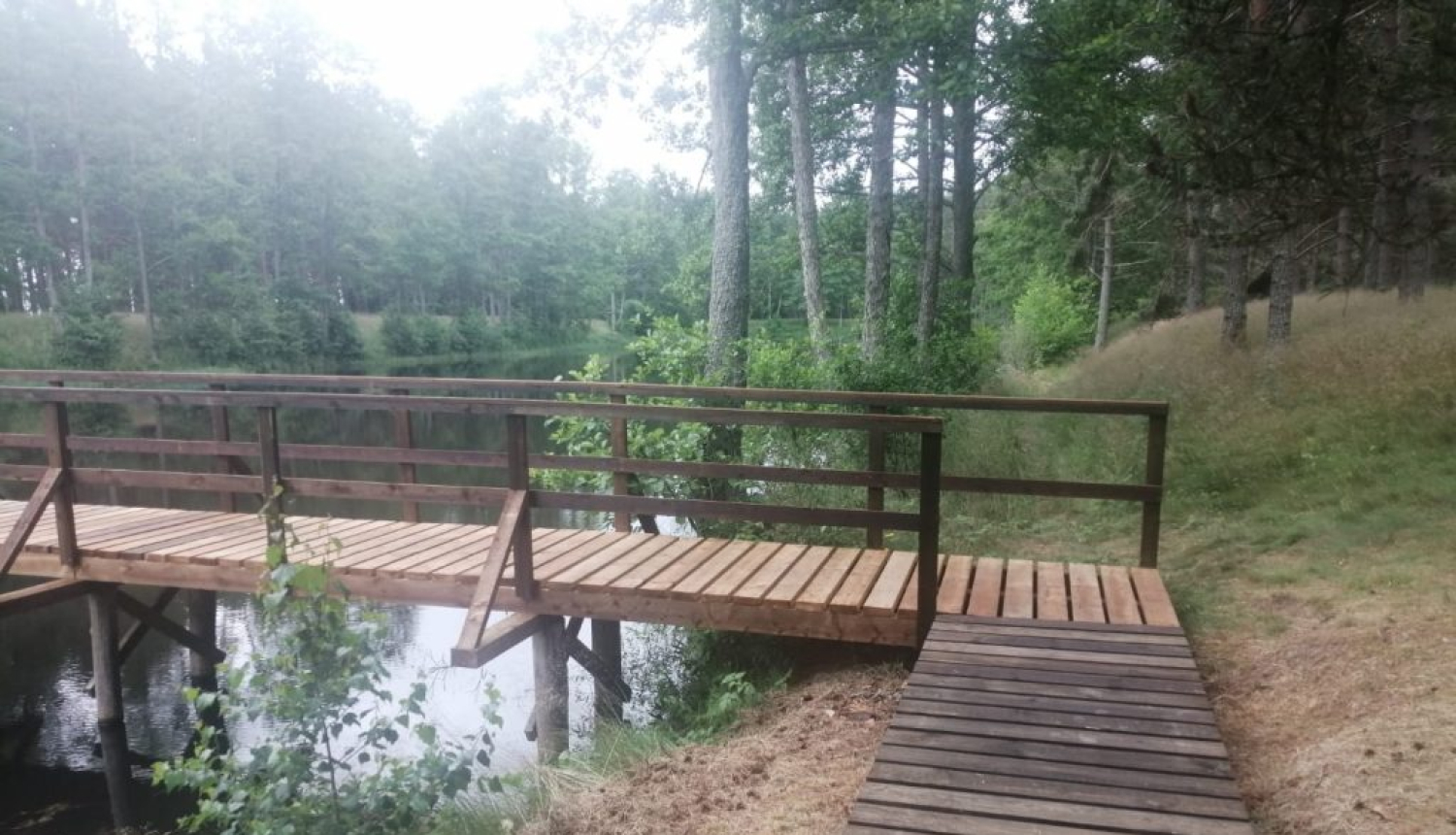 Atjauno Zēņu dīķa laipu