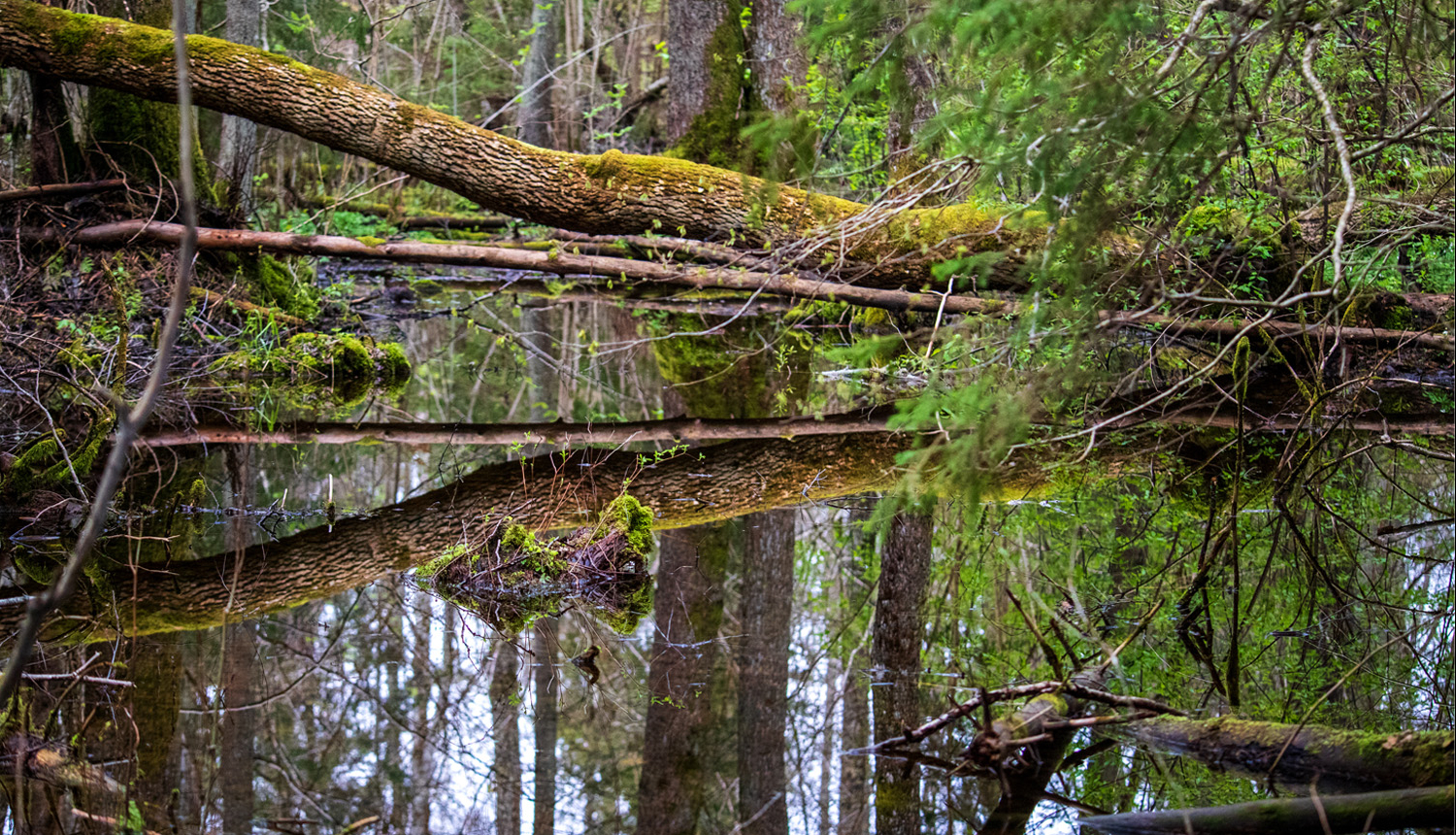Biotopu aizsardzības plāns