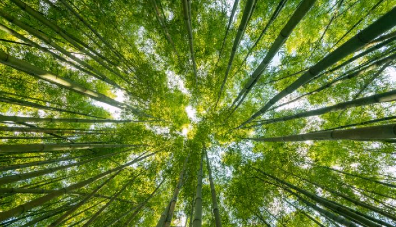 Talsu novada Pieaugušo izglītības dienās – praktiska nodarbība par dabai draudzīgu saimniekošanu