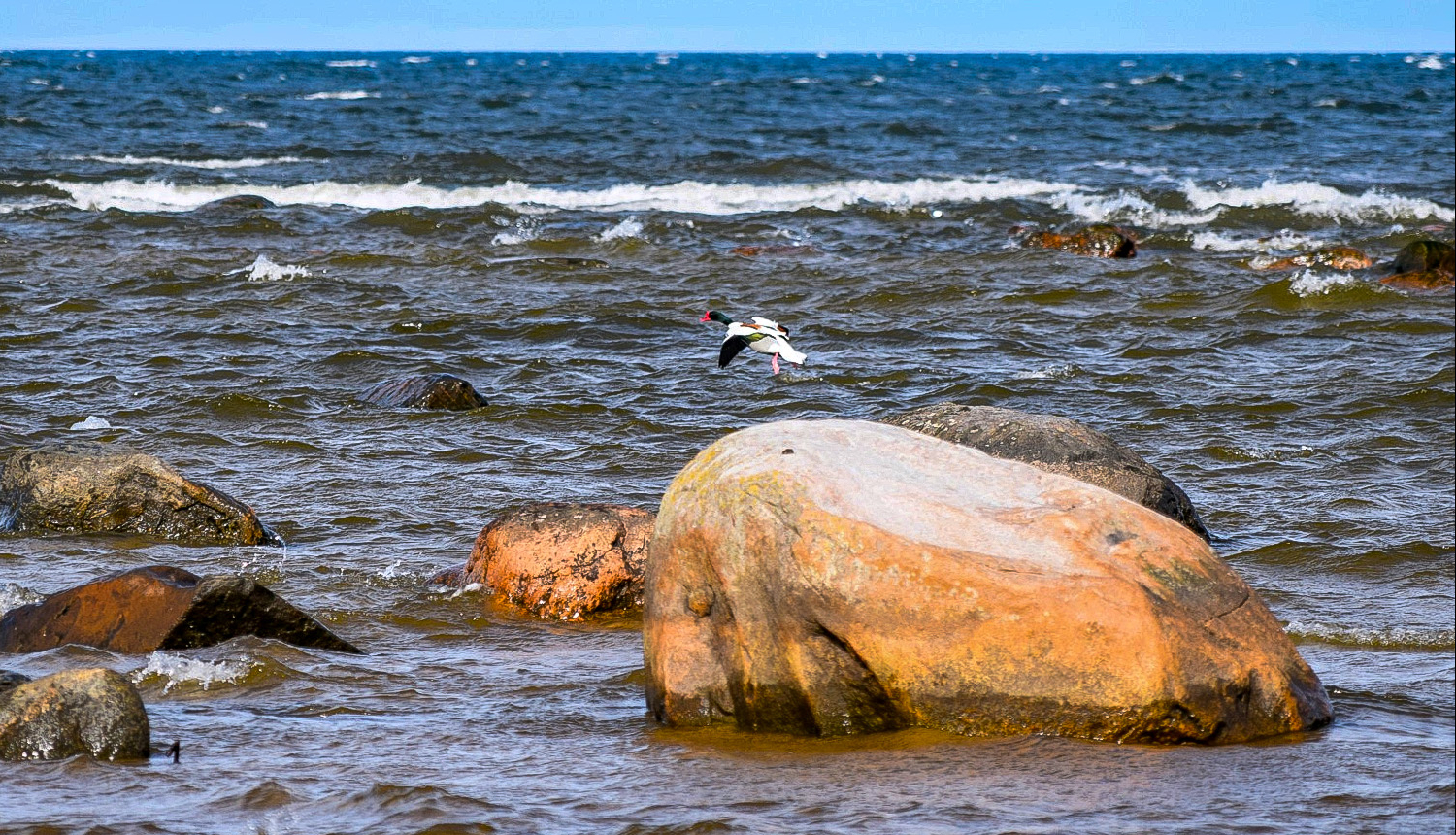 Aicina uz aizsargājamo jūras teritoriju dabas aizsardzības plāna izstrādes sabiedriskajām apspriešanām