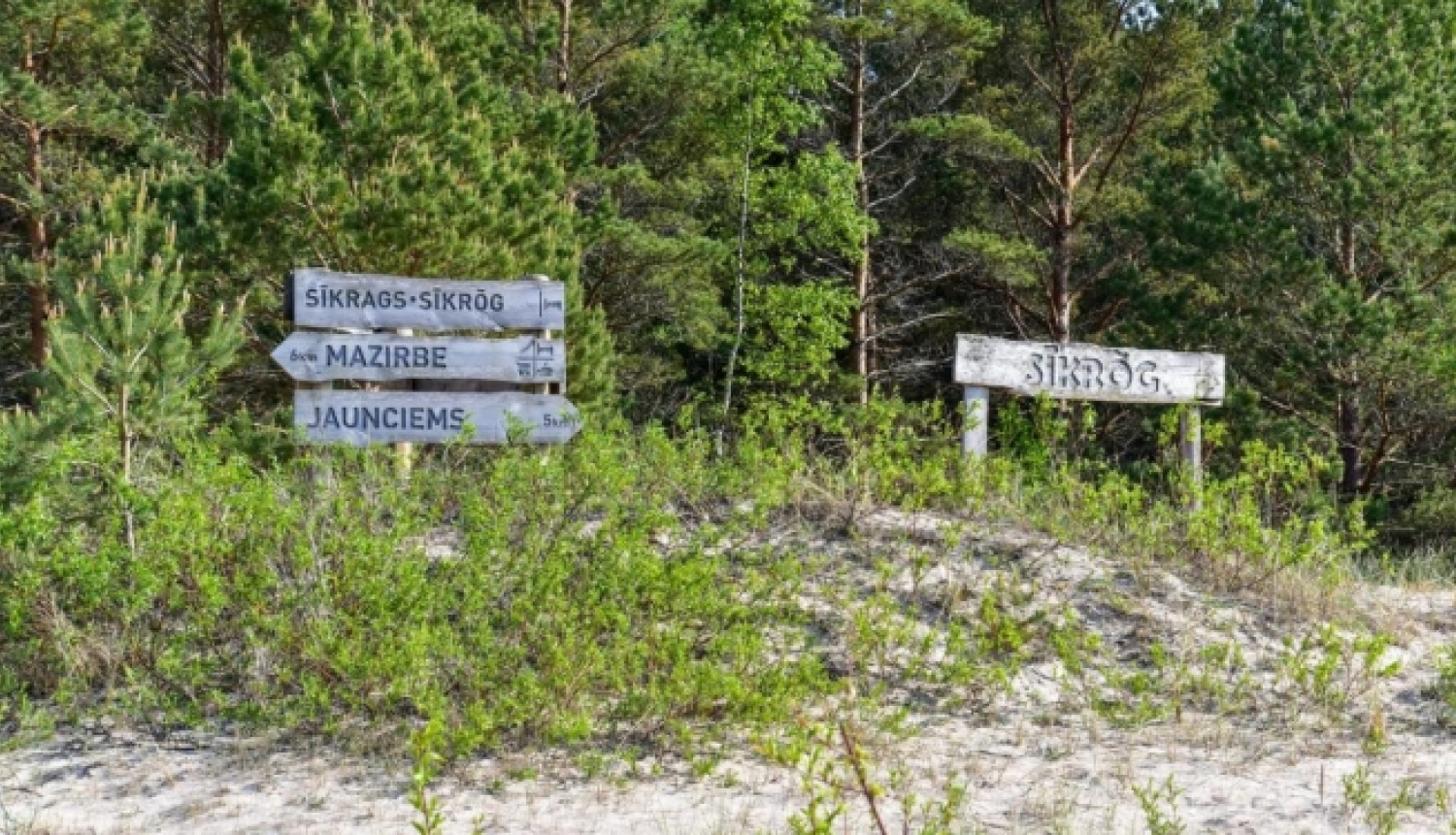 Sīkraga attēls