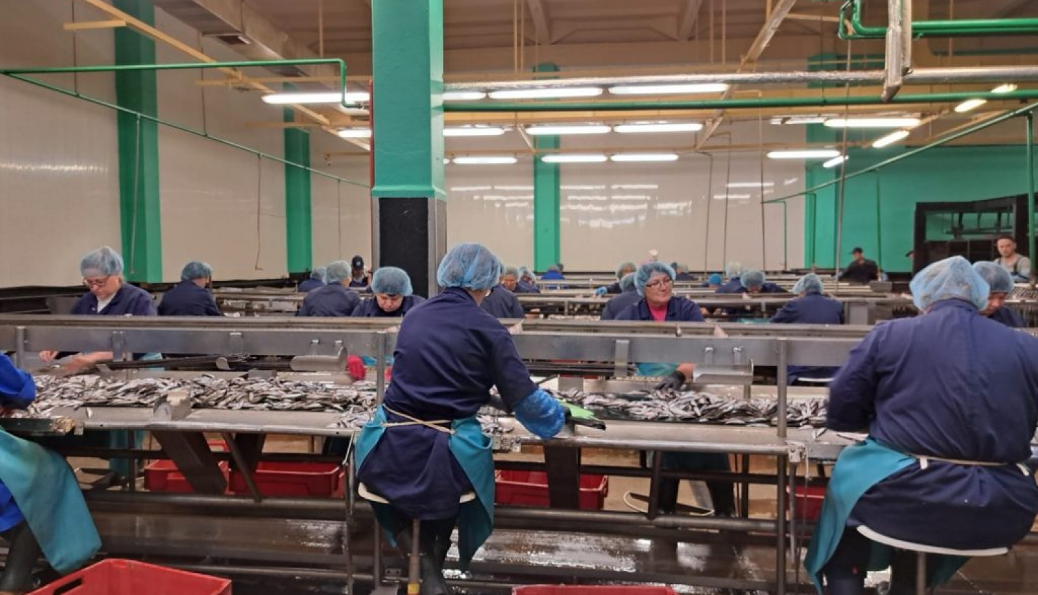 Delegācija apmeklē Talsu novada saimniecības
