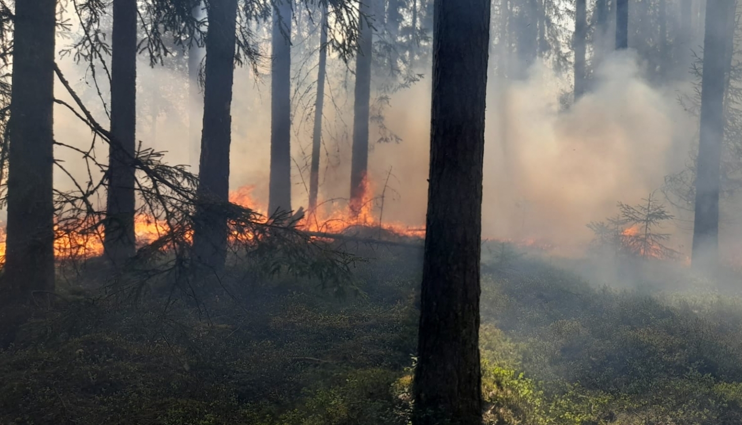 mežos palielinās ugunsbīstamība