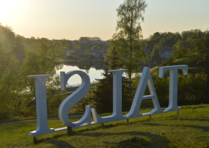 Jānis Saliņš „Skats uz Talsu ezeru no ūdenstorņa pakājes”